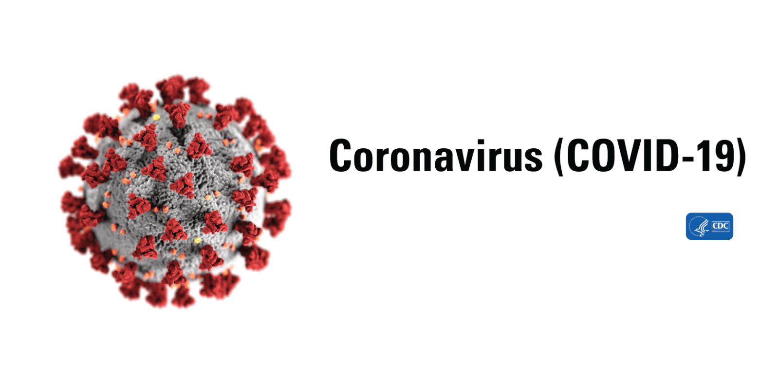 enlarged image of COVID-19 virus