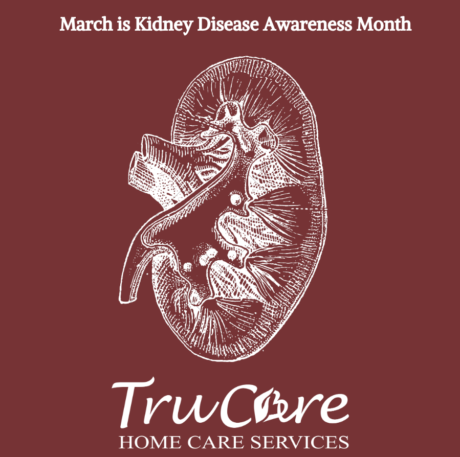 TruCare graphic drawing of a kidney for kidney disease awareness month