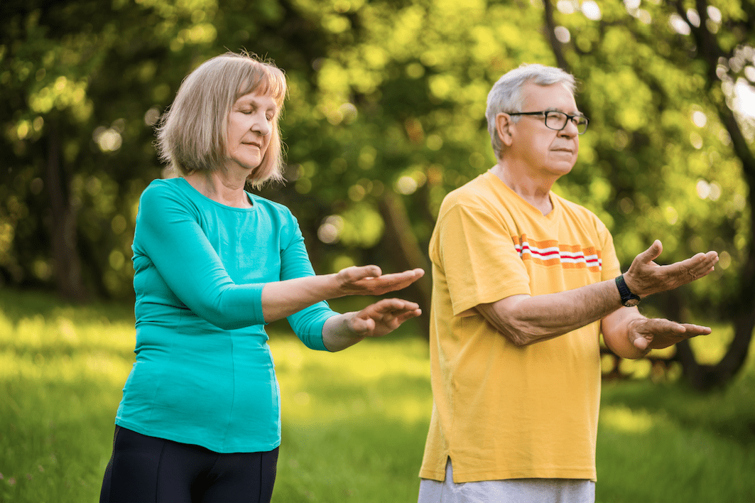 Senior couple doing exercises in a park meadow